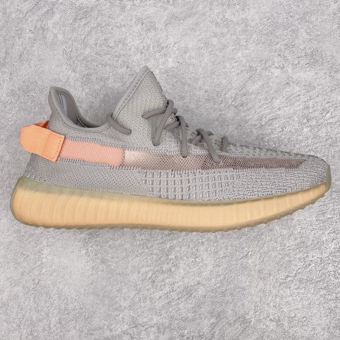 Adidas Yeezy Boost 350 V2 True Form