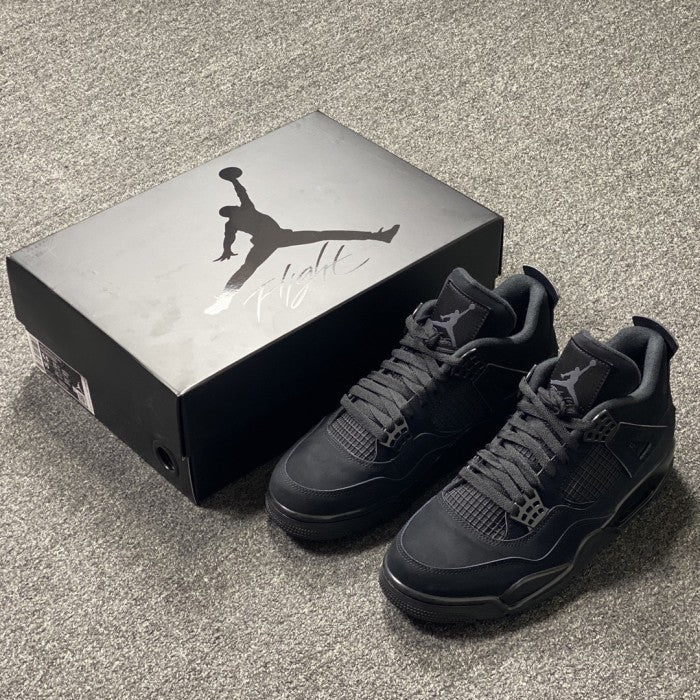 Air Jordan 4 Retro Black Cat (2020) - CU1110-010