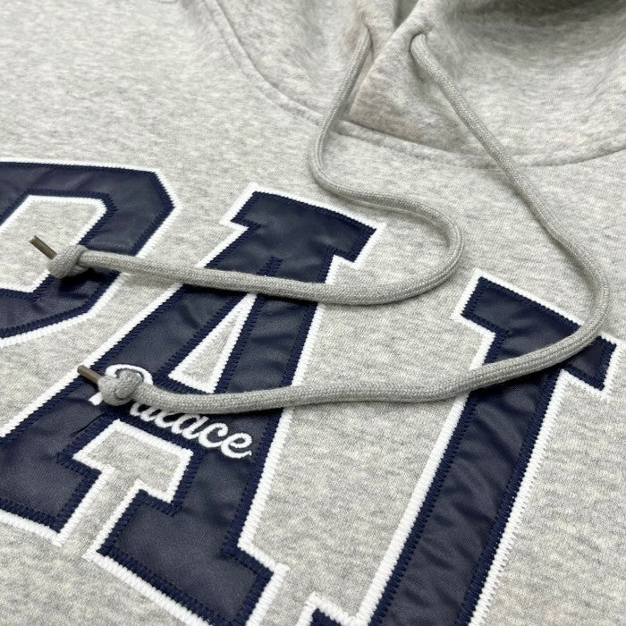 PA x GAP- Hoodie - Grey - SS24
