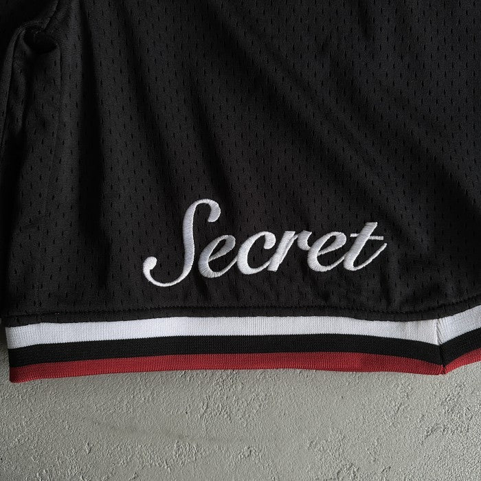 Trapstar Irongate Arch It's A Secret Basketball Mesh Shorts - Grey/Sea