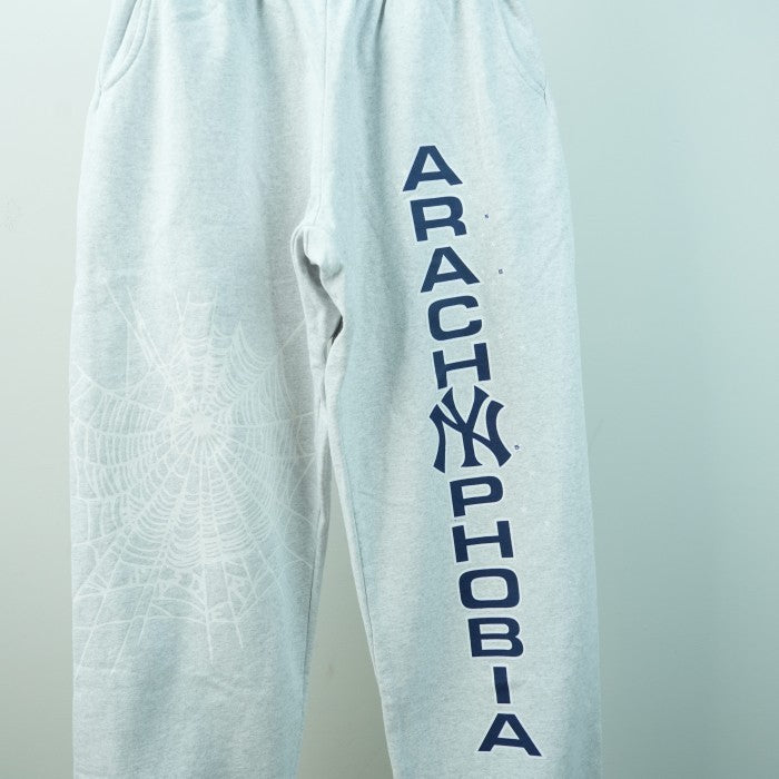 Sp5der Arach NY Phobia Sweatpants - Ash Grey