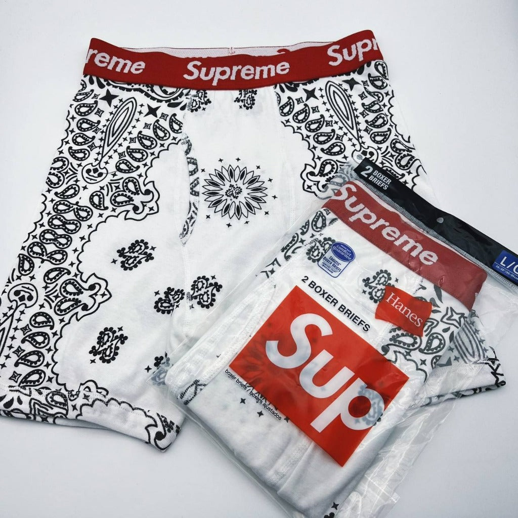 Supreme HANES BOXER BRIEFS - 2 BOXERS/ PACKS (All Colors)